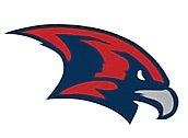 Atlanta Falcons