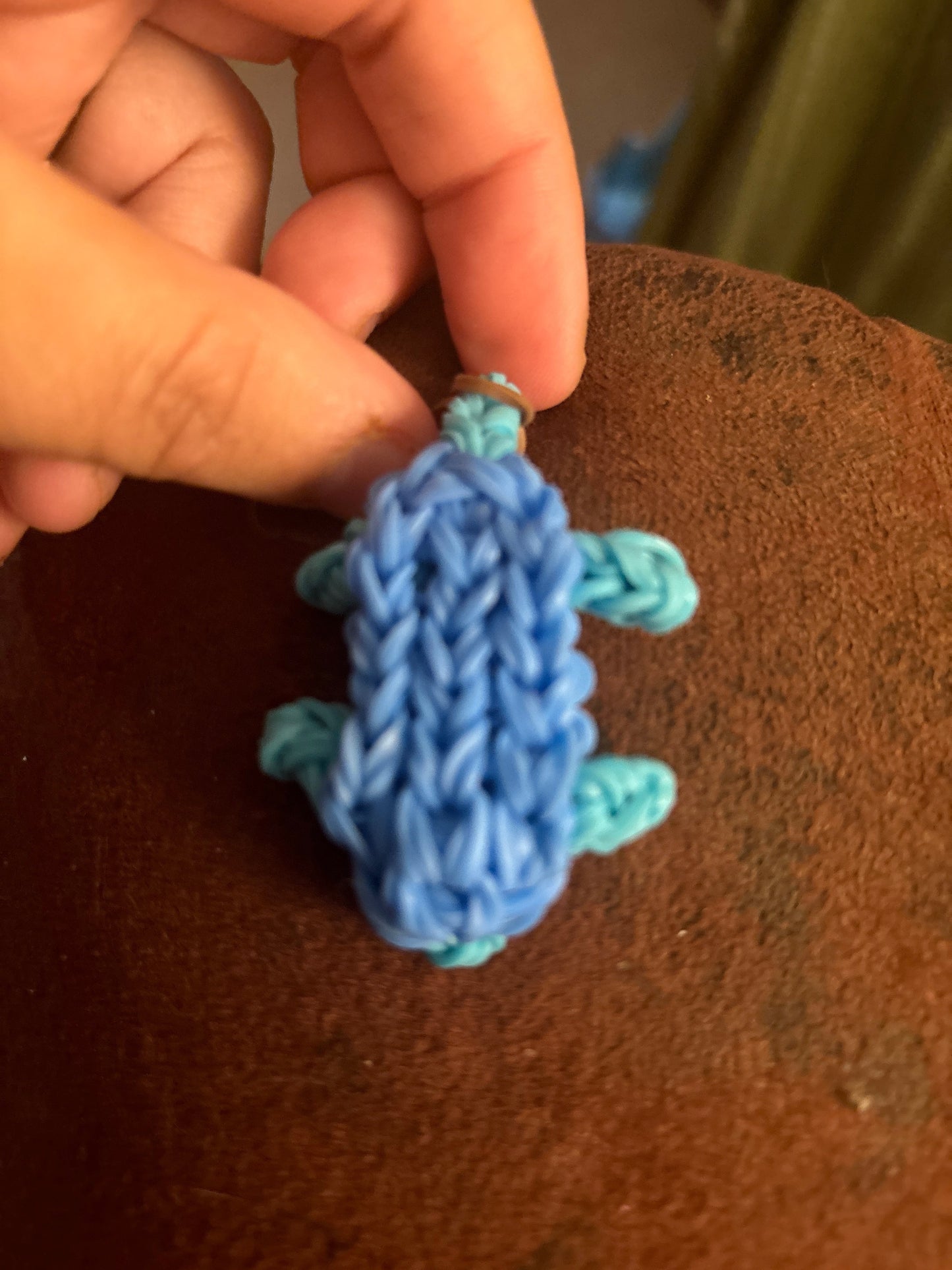 Blue loom turtle